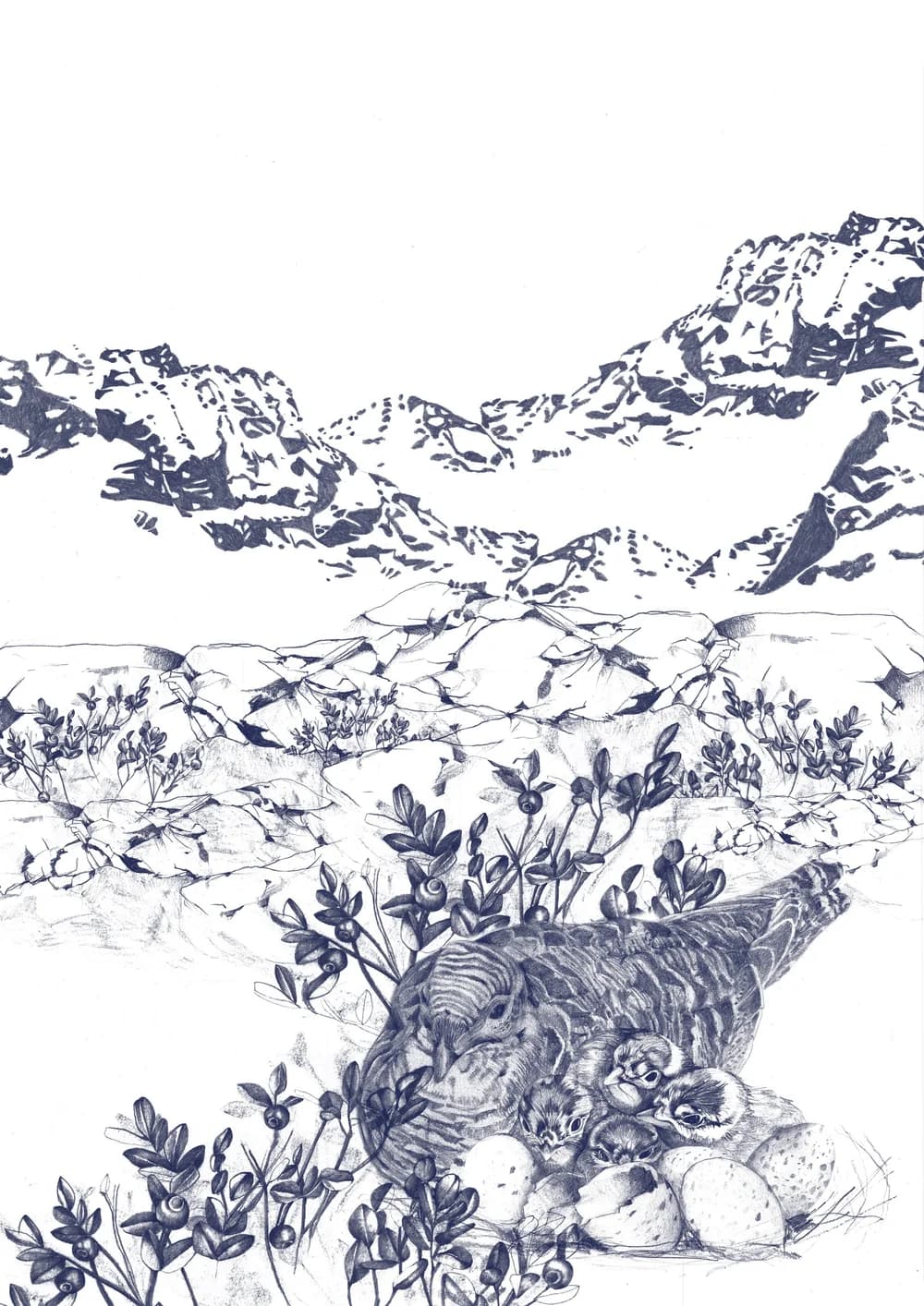 Bodenbrüterin — Bild 3