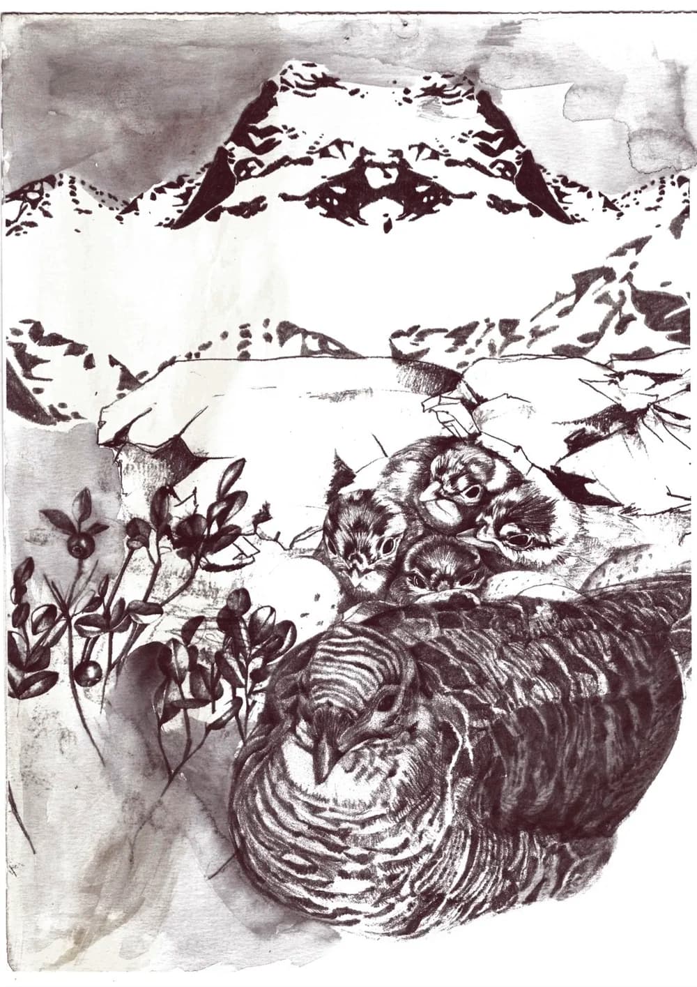 Bodenbrüterin — Bild 4