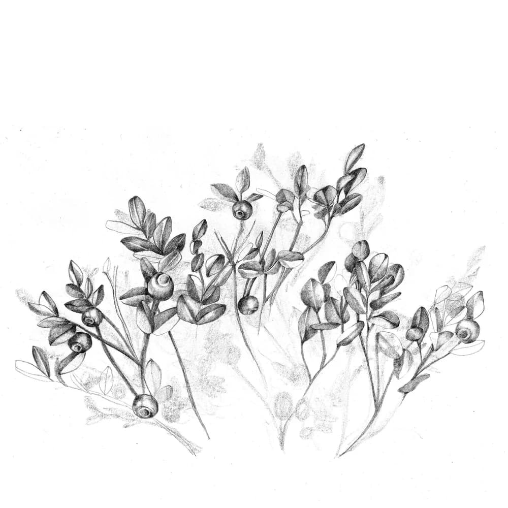 Bodenbrüterin — Bild 5